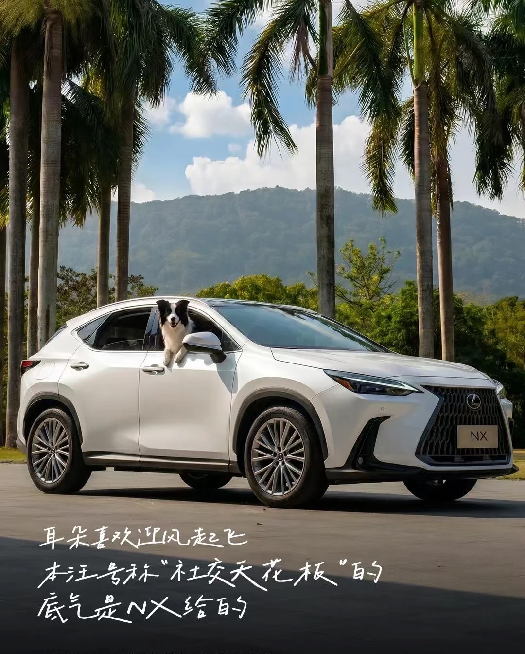 صورة أمامية لسيارة Lexus NX موديل ٢٠٢٦ باللون الأبيض وهي تسير في بيئة طبيعية خارجية