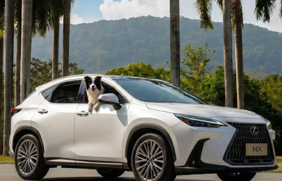Lancement officiel des images de la version restylée de Lexus NX : sixième génération hybride, autonomie 100 % électrique atteignant 140 km