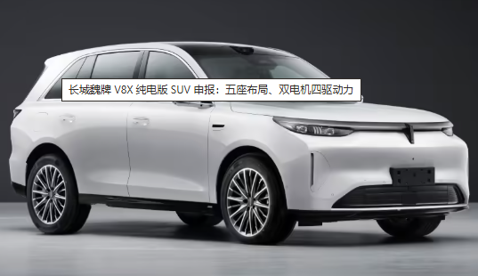 WEY V8X申报图